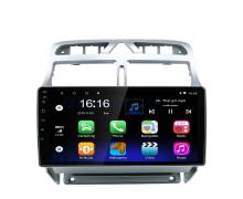 Peugeot 307 Multimedia